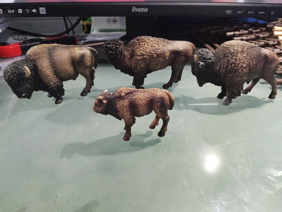Żubr bizon żubry bizony schleich rodzina