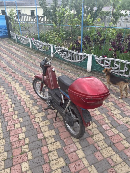 Продам Малагуті 75см