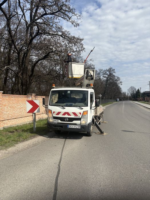 Podnośnik koszowy usługi wynajem
