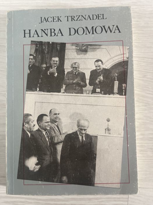 Jacek Trznadel Hańba domowa