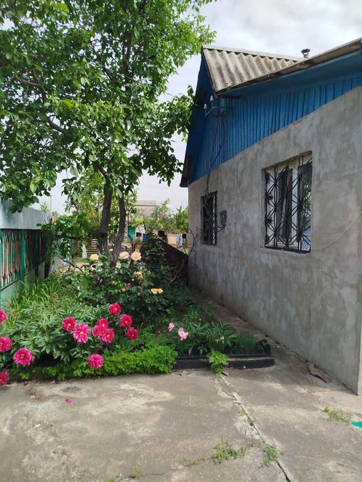 Компактная дача в Светлом