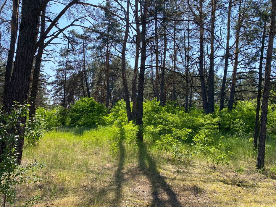 Продам ділянку в Пірнове 10 соток