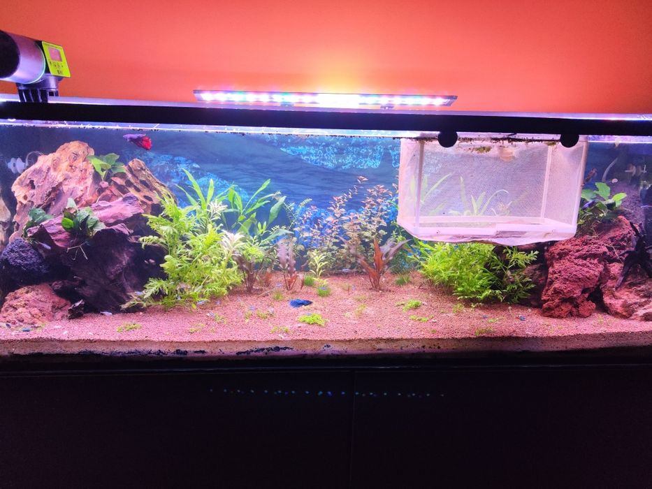 Cala iluminaria para aquario 60cm RGB