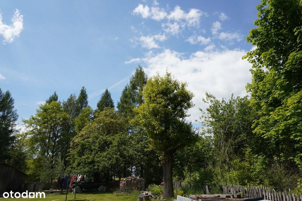 Dom z dużą działką 2455 m²