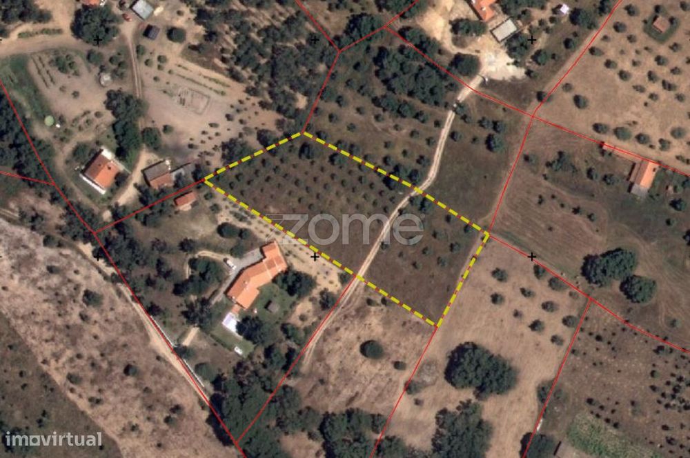 Terreno Rústico 5000m² com Viabilidade | Melides