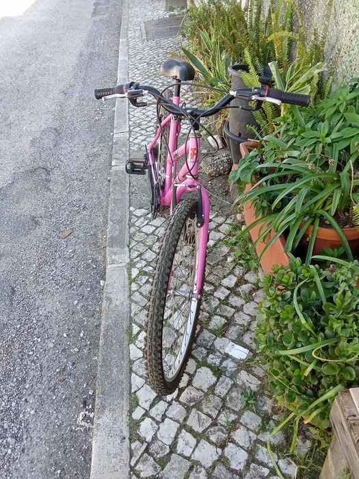 Bicicleta FDR Roda 26