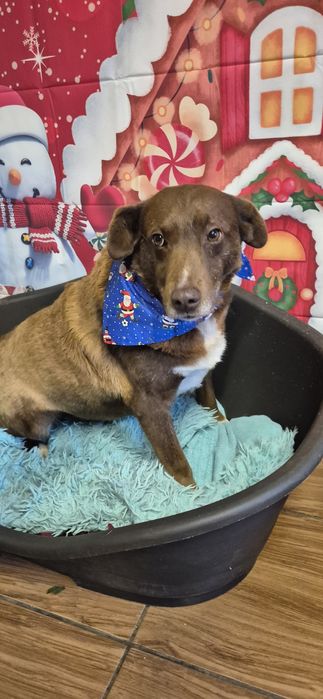 Piasek około siedem lat