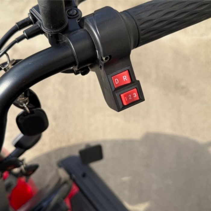 СУПЕР ЦІНА ‼️ Триколісний електроскутер EVOBIKE Luna PRO (1200W 60V 20Ah)