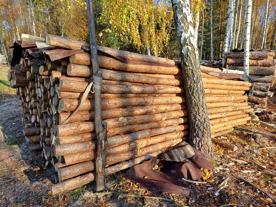 Stemple drewniane budowlane