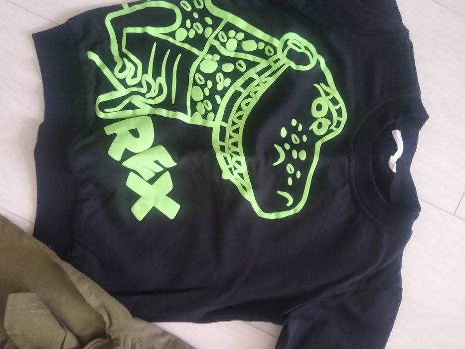 Bluza i koszulka chłopięca 104