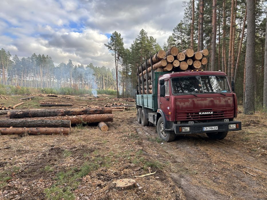 Надаємо послуги маніпуляторів, лісовозів