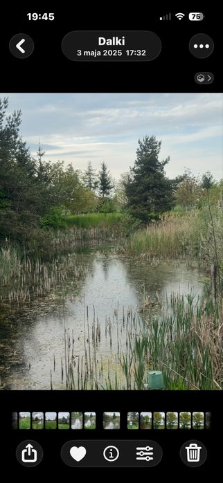 Sprzedam działki budowlane ze stawem-Gniezno-Dalki