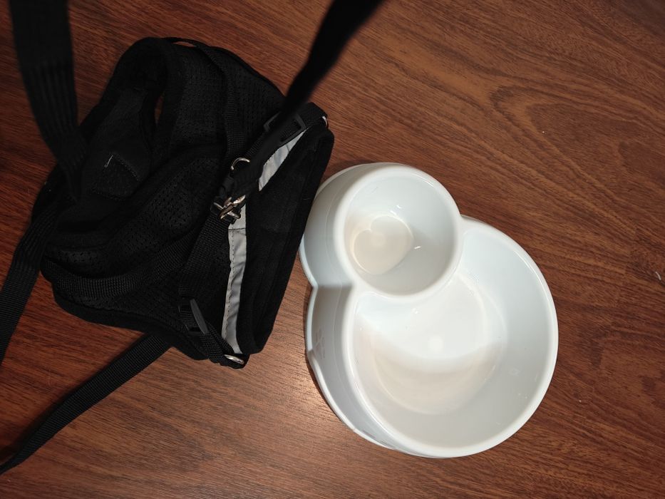 Kit Passeio e Refeição para Cão Pequeno/Gato - Peitoral + Trela + Taça