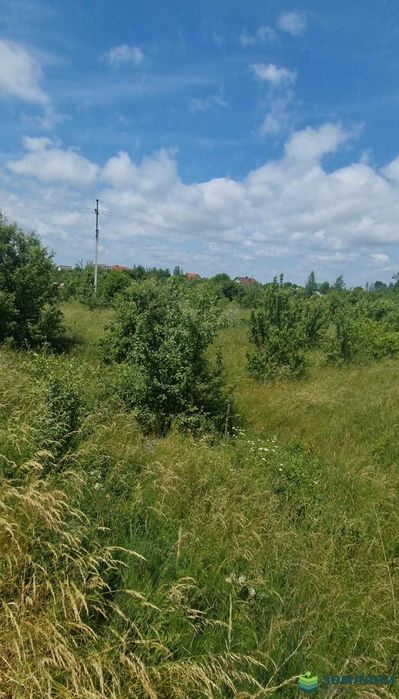 Продається ділянка в Чернієві (1)