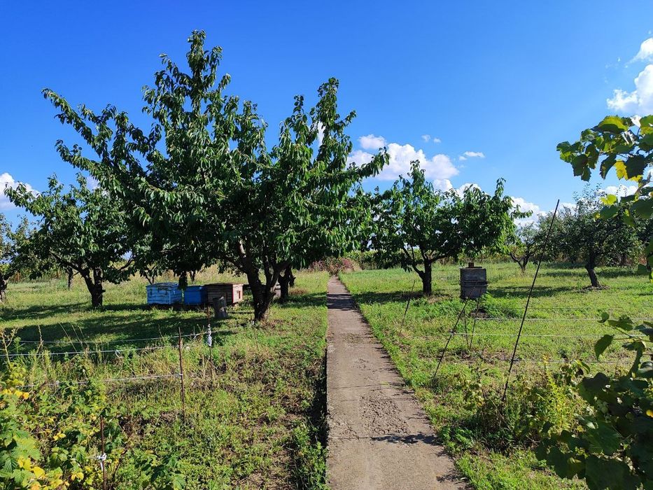 Продам дом недалеко от города, большой участок