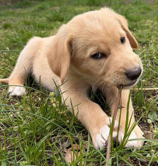 Bezik czeka na Ciebie