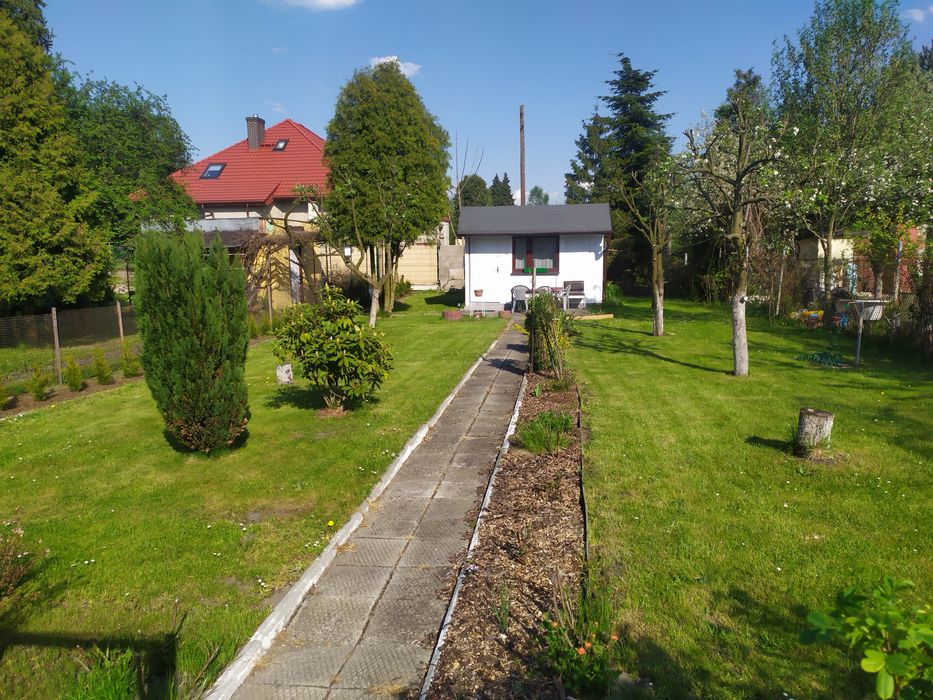 Ogródek działkowy na granicy  Ruda Śląska/Zabrze ROD Malina