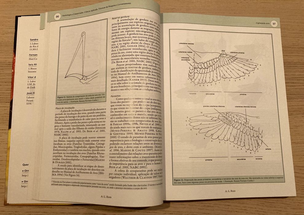ORNITOLOGIA E CONSERVAÇÃO - TÉCNICAS DE PESQUISA E LEVANTAMENTO