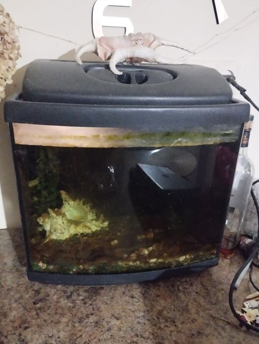 Аквариум 35 литров без дефектов. Не пересылаю