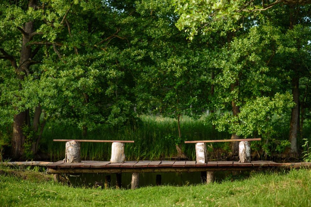 Domek Zielony Jedyny na działce mazury do wynajęcia Mikołajki Iznota