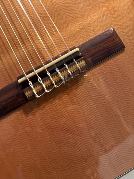 Guitarra Clássica APC 8C