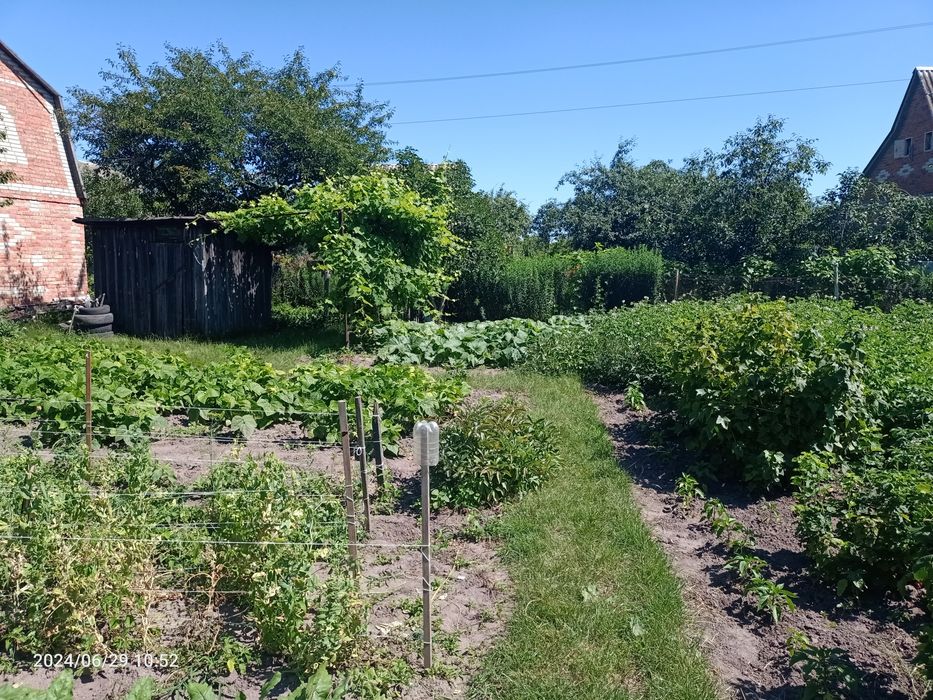 Дачна    ділянка