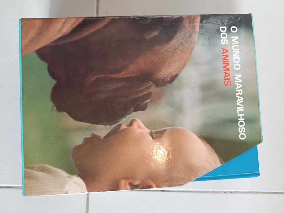 Livros O Mundo Maravilhoso dos Animais