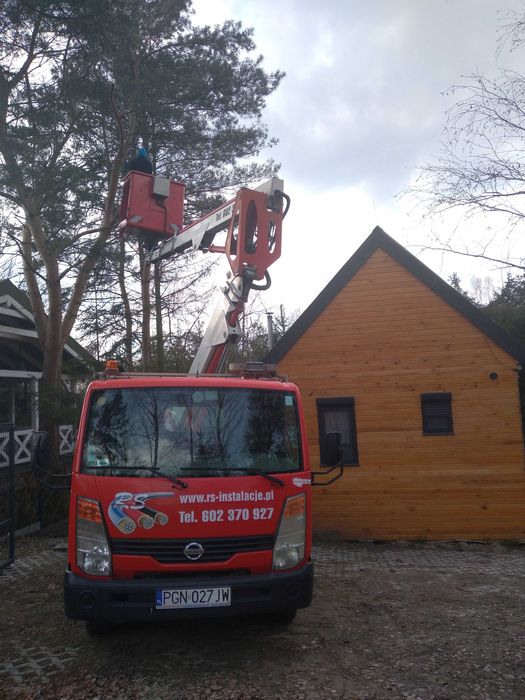 Wycinka, Przycinanie drzew Gniezno