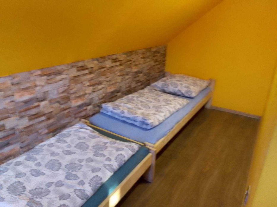 Agroturystyka "Sosnowy Gaj"