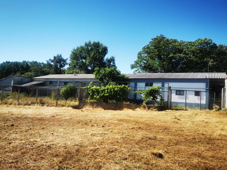 Armazém com 419 m² e Terreno de 2.856 m² | Donai, Lagomar– Bragança