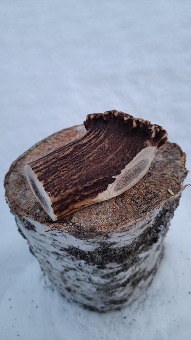 Рога оленя ,смаколики для собак