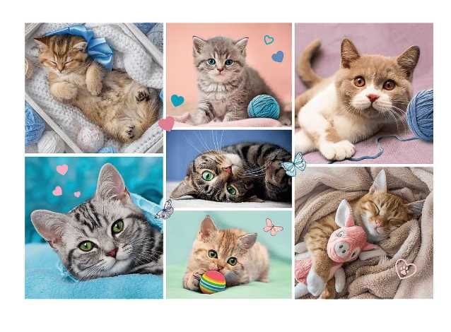 TREFL 16420 PUZZLE 100 w kocim świecie