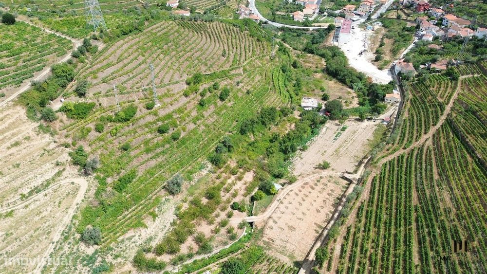 Quinta Das Lamas | + De 2 Hectares | Douro