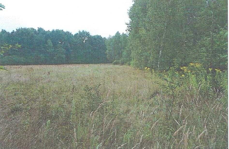 syndyk ogłasza przetarg - nieruchomość Ożarowice
