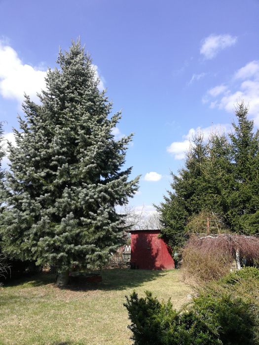 Działka Rod rekreacyjna.