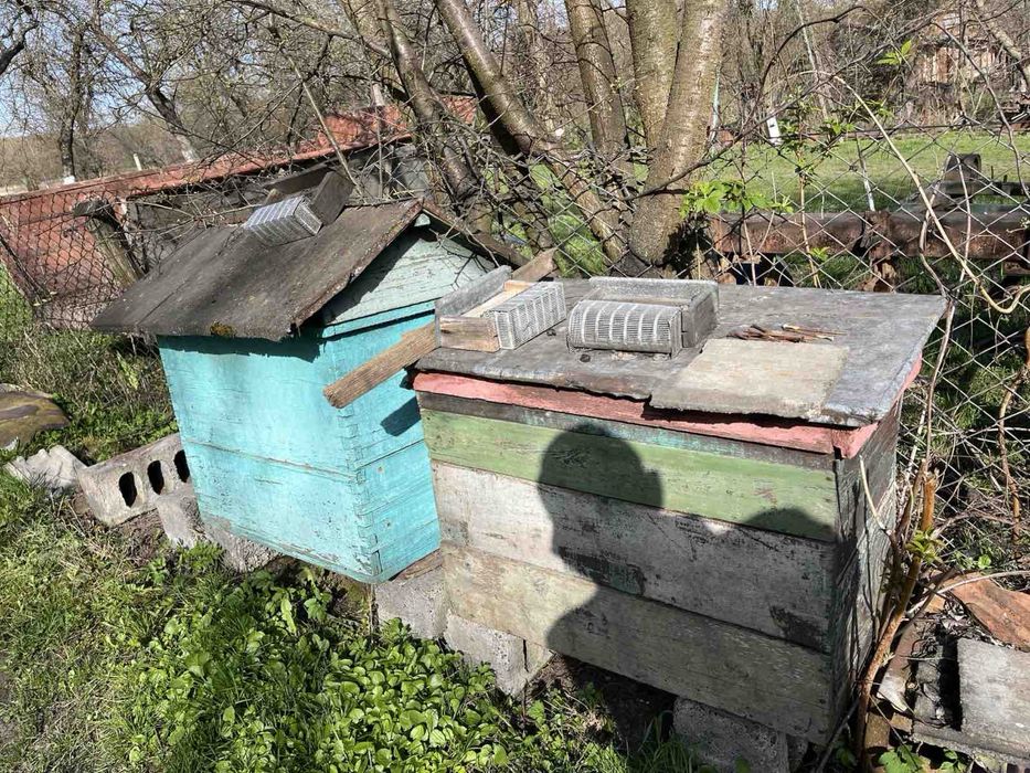 Вулики на українську рамку