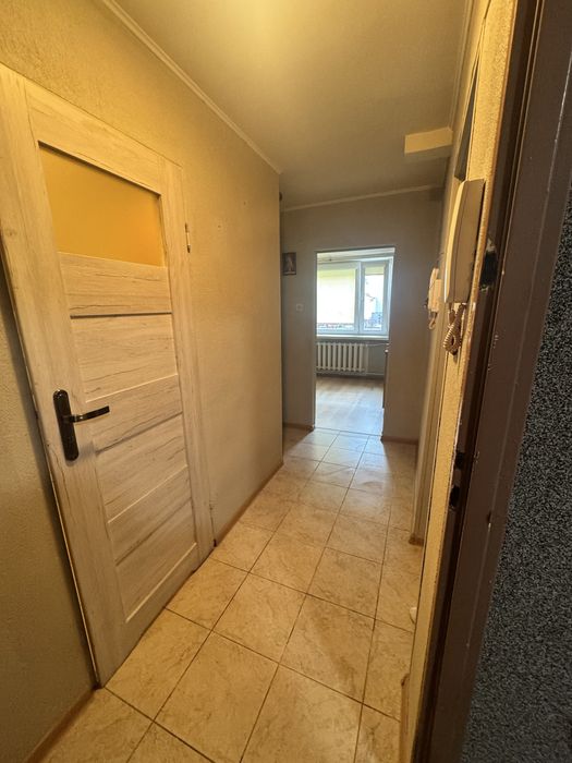 2 pokoje | duża kuchnia | balkon | wysoki parter | Giżycko - Widok 5