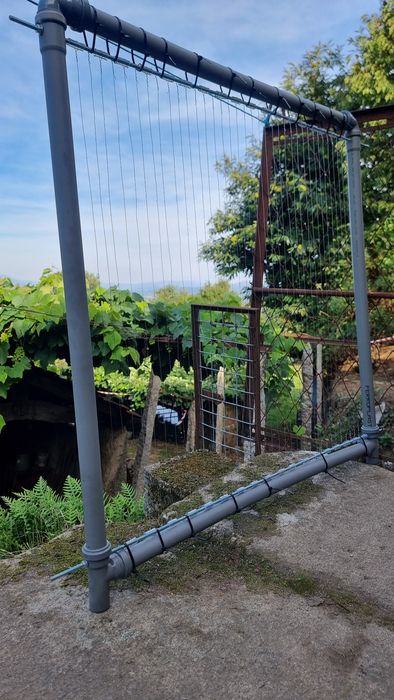 Harpa elétrica contra velutina