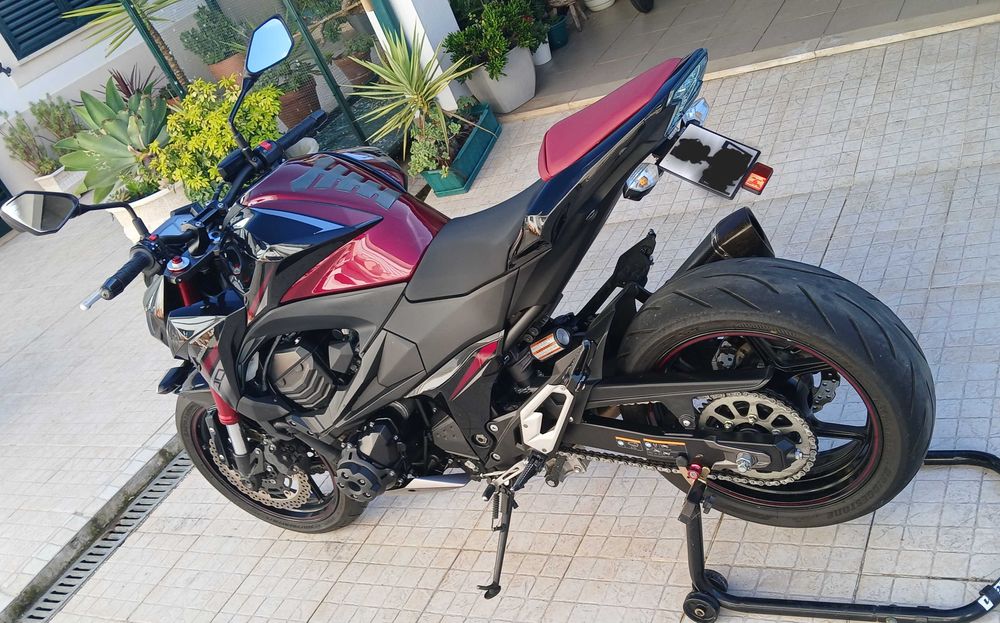 Kawasaki Z800 Sugomi 2016