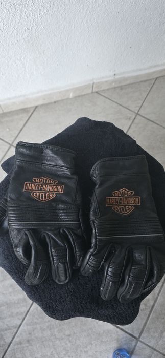 Casaco e Luvas  original  Harley-Davidson