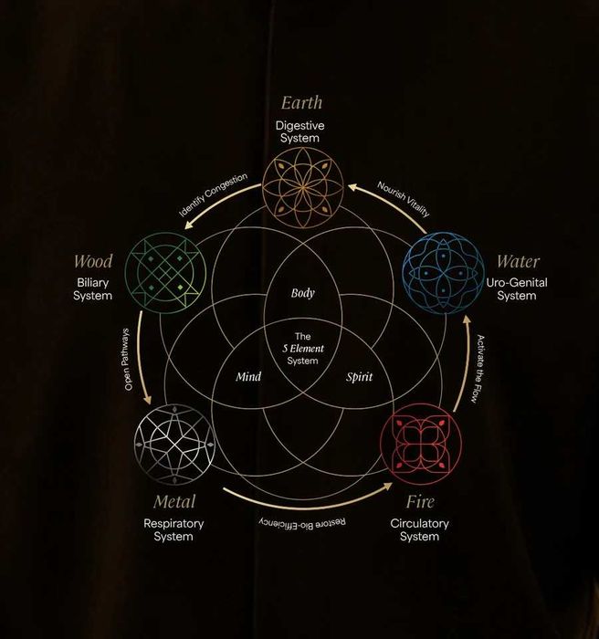 Zen Cleanse Digestive Reset   Zen Cleanse: Reinício Digestivo