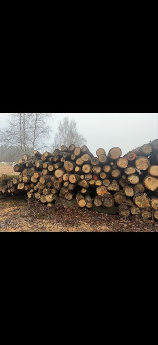 Drewno Kominkowe Dąb