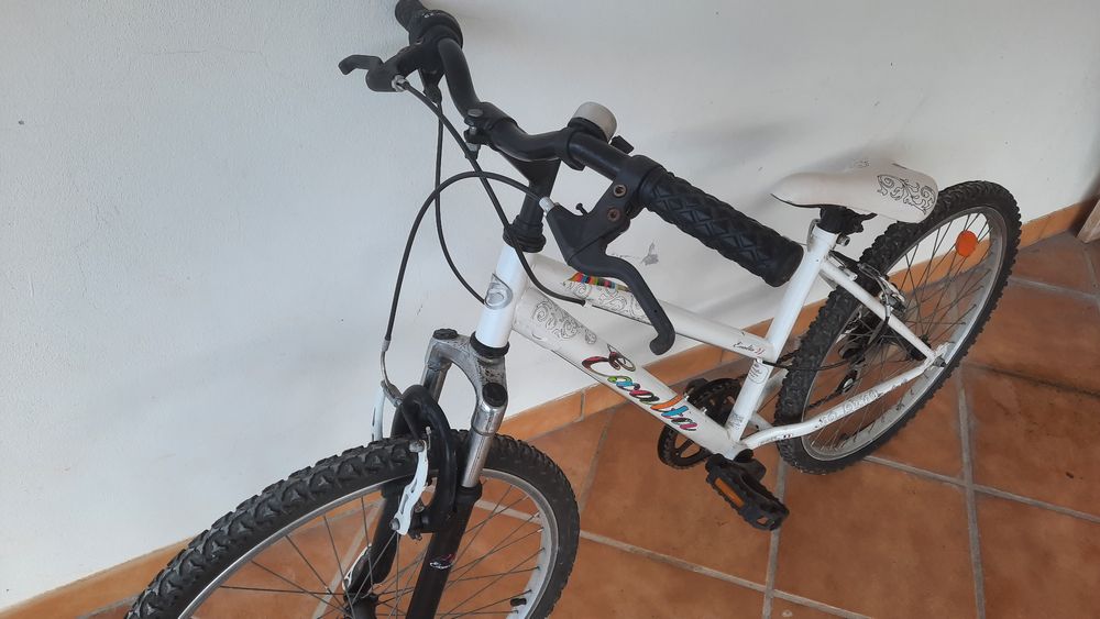 Bicicleta esmalta 24