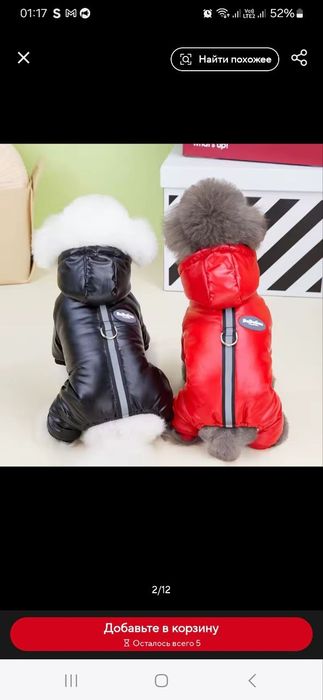 Комбінезон для собаки