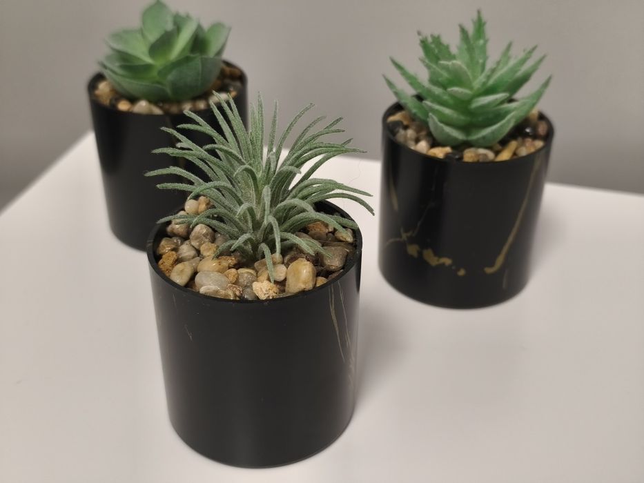 Conjunto de 3 Pequenos Cactos - Decoração Premium Preto / / Dourado