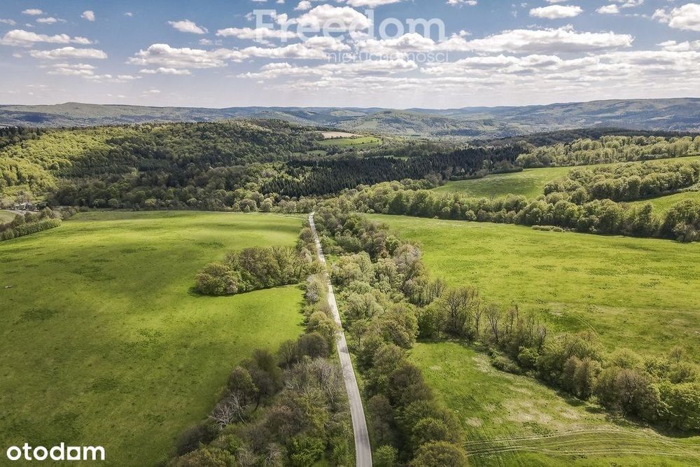 Działka rolno-rekreacyjna 50ar–Końskie, gm. Dydnia - View 6