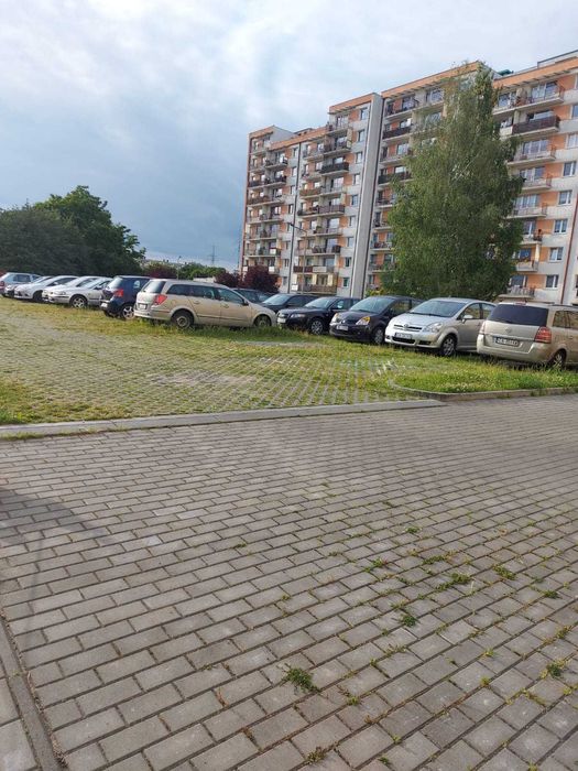 Mieszkanie do wynajęcia