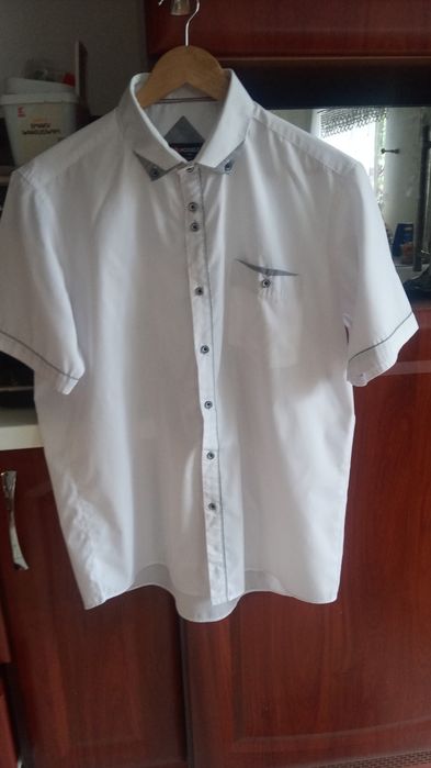 Koszula męska krótki rękaw roz.L/ XL