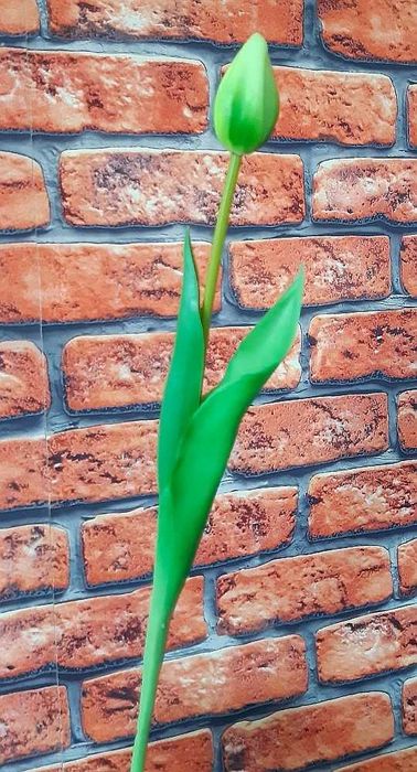 Tulipan tulipany silikonowe gumowe jak żywe 40 cm kolory