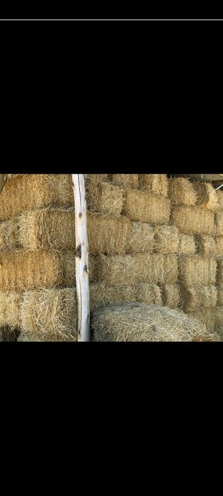 Солома    в  тюках